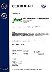 DQS englisch
